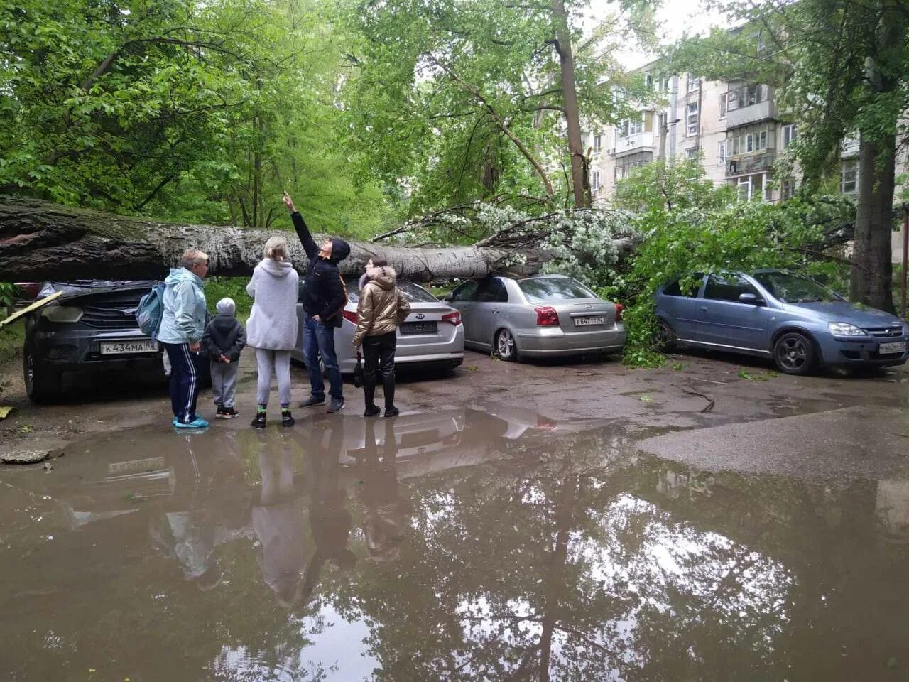 Срочные новости крым. Деревья во дворе. В Симферополе упало дерево. Дерево упало развалилось. Ауди во дворе у дома.