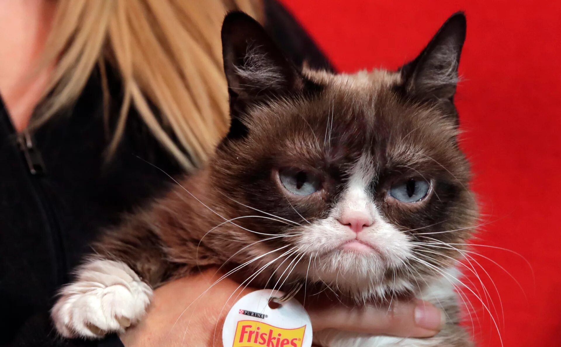 Grumpy s