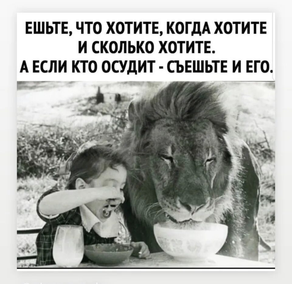 8 ешь сколько хочешь. Ешьте сколько хотите. волк и ягненок будут пастись вместе. ешьте что хотите. волк и ягненок будут пастись вместе и лев как вол будет есть солому.