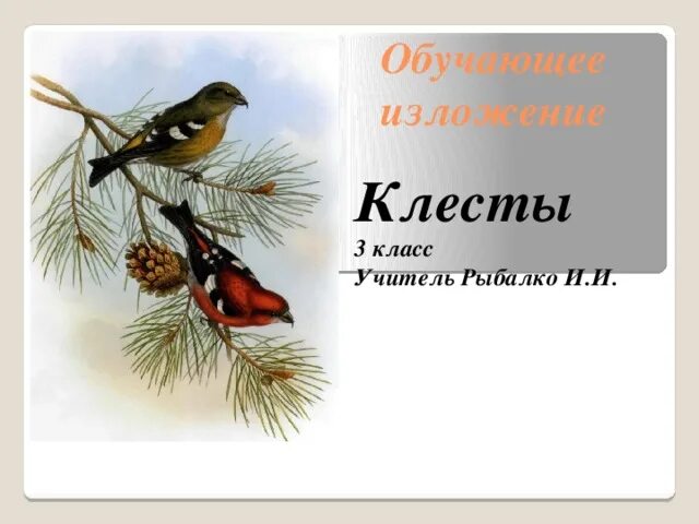 Обучающее изложение клесты 3 класс. Обучающее изложение клесты 3 класс
