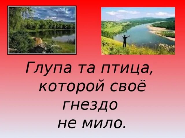 Глупа та птица пословица. Глупа та птица которой свое гнездо не мило. Глупа та птица которой свое гнездо не мило смысл. Глупа та птица которой гнездо своё .... Рисунок к пословице глупа та птица которой свое гнездо не мило.