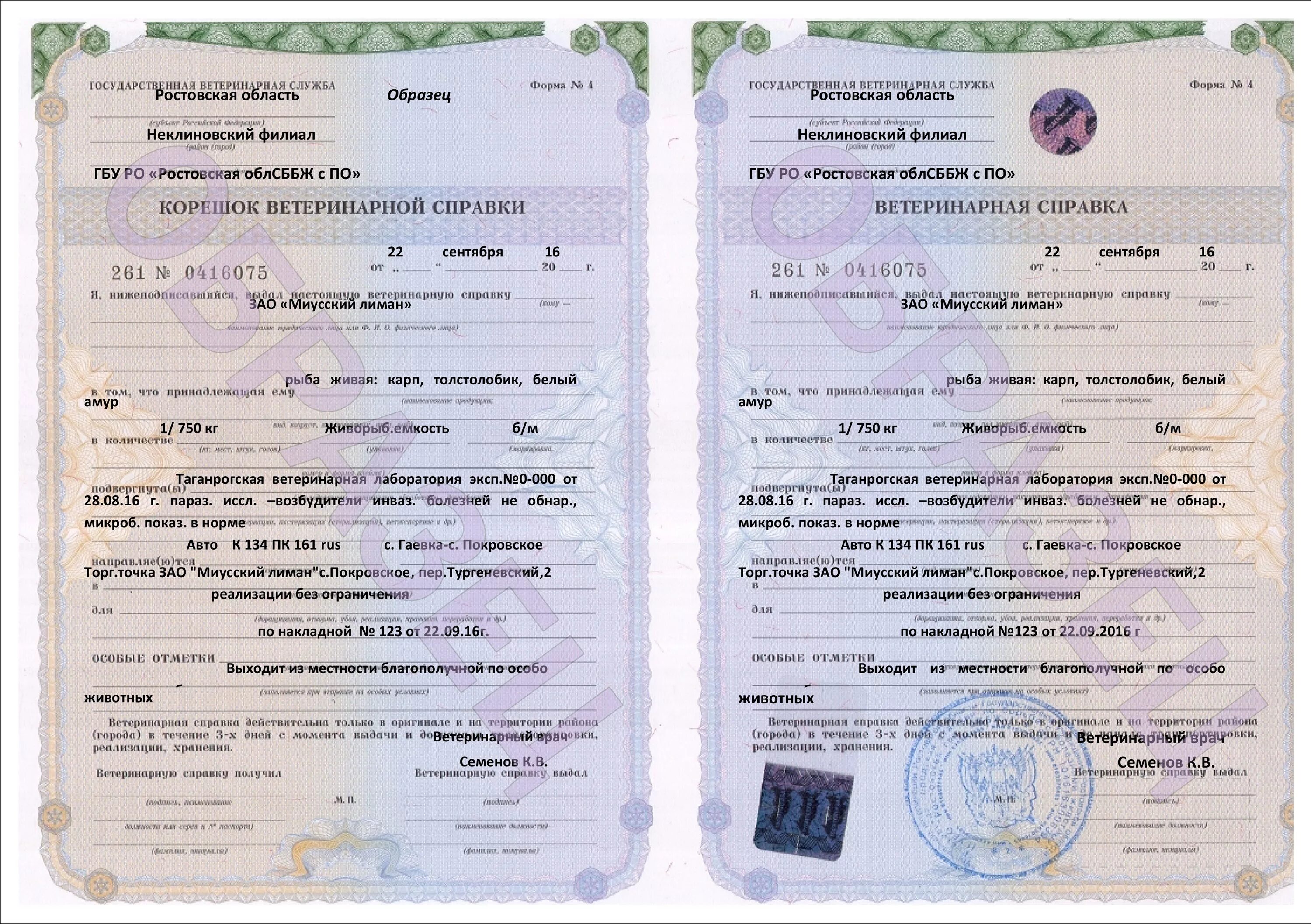 Форма 1 для животных. Форма 1 для животных. Ветеринарное свидетельство формы №1. Ветеринарная справка ф1 на собаку. Вет свидетельство формы 1 образец.