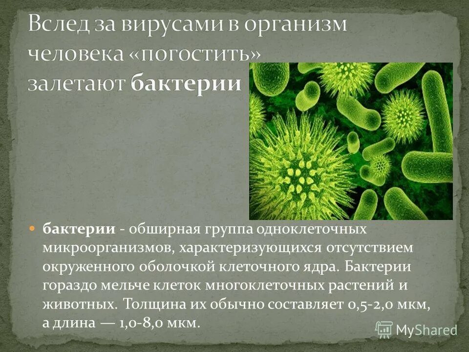 Вирусы это организмы многоклеточные*. Вирусы внеклеточная форма жизни. Вирусы одноклеточные или многоклеточные организмы. Разнообразие клеток в многоклеточном организме. Вирусы грибы простейшие.
