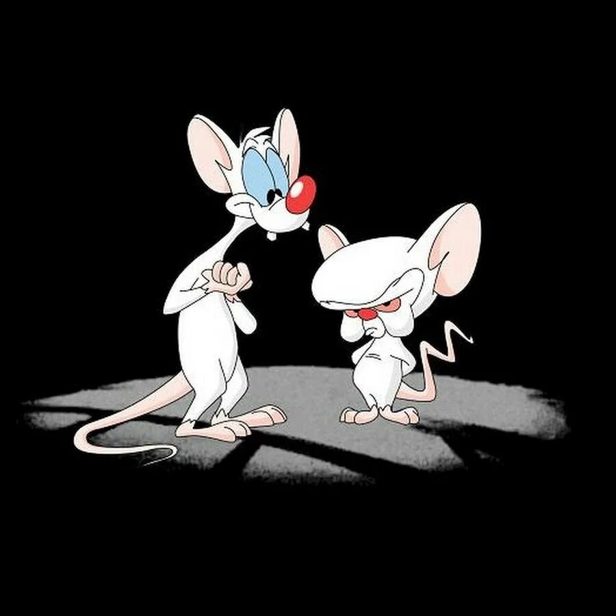 Мыши которые хотели захватить мир. Пинки из мультика пинки и брейн. Пинки и брейн захватить мир. Пинки и брейн брейн. Мыши которые хотели захватить мир.