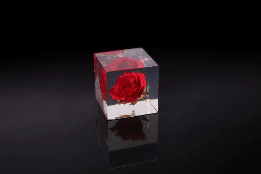 Мияги красные розы в стеклянной. Роза под колпаком. Мияги красные розы в стеклянной. Роза в колбе notta belle. Вишня в стеклянном кубе.