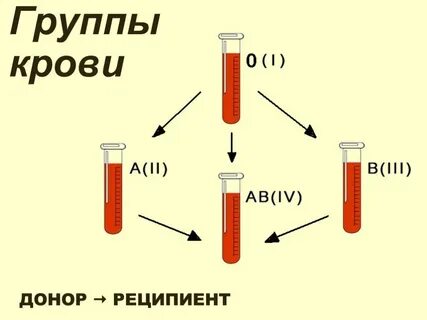 Универсальные реципиенты какая группа
