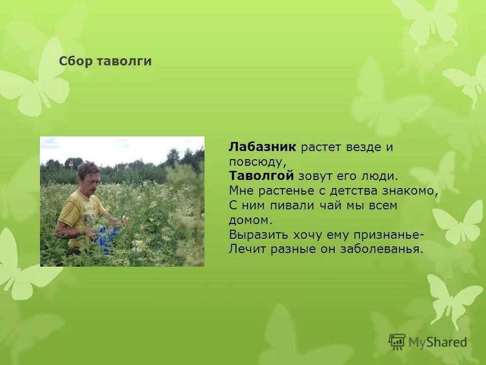 везде растут.