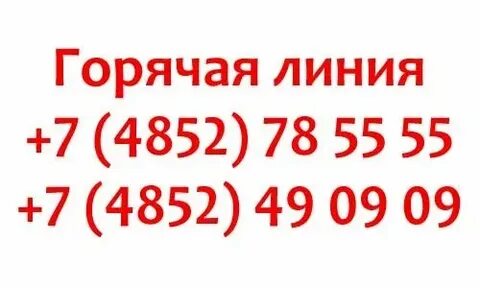 Мфц нижний новгород телефон горячей