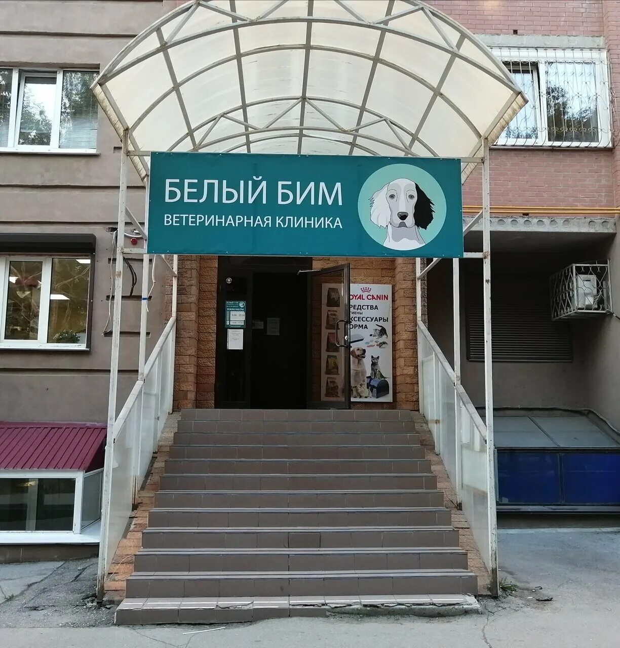 Белый бим черное ухо собака. Белый бим ул мичурина 126. Белый бим ул мичурина 126. Ставрополь,ул 50 лет влксм 33. Пес бим черное ухо.