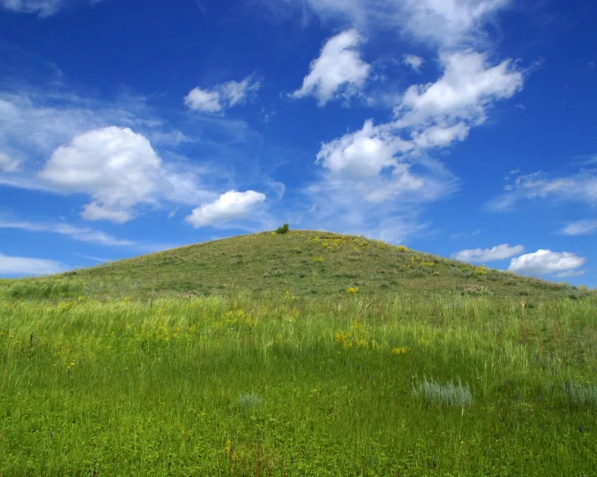 Холмы значение. Курган возвышенность. Гора холм Курган фото. Степные Курганы Калмыкии. Склон холма.