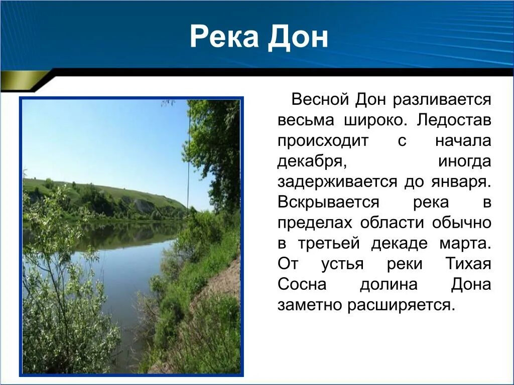 Краткий рассказ о реке. Презентация река Дон Воронежской области. Река Дон в Воронежской области описание 4 класс. Рассказ о реке Дон 4 класс. Река Дон доклад.