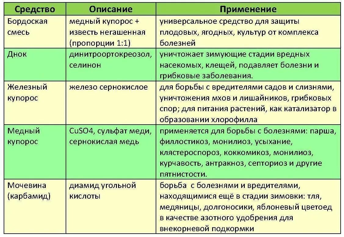 Деревья можно опрыскивать мочевиной