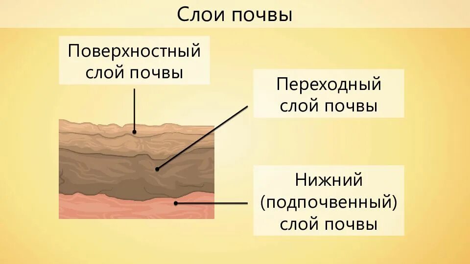 Подошва слоя грунта. Три слоя почвы. слои почвы. слои почвы 3 класс. гигиена почвы.