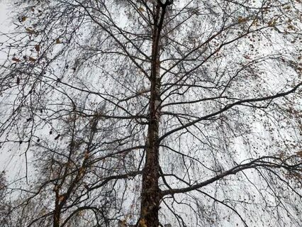 Погода в ноябре калужская область