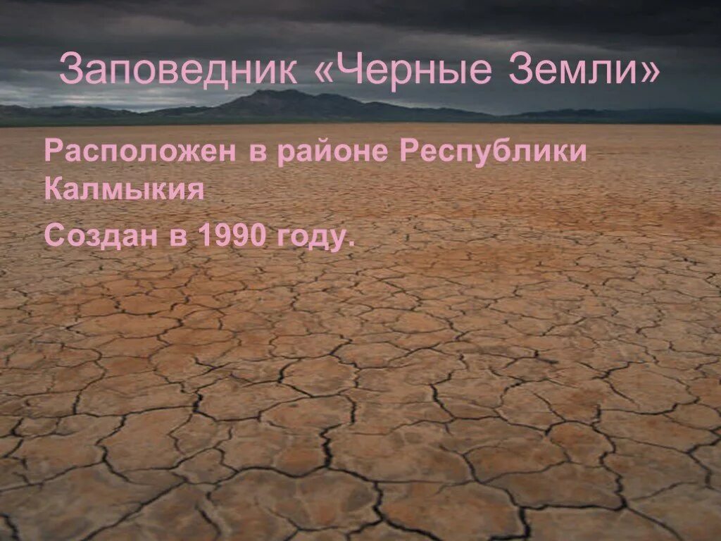 Названия заповедников в зоне пустыни