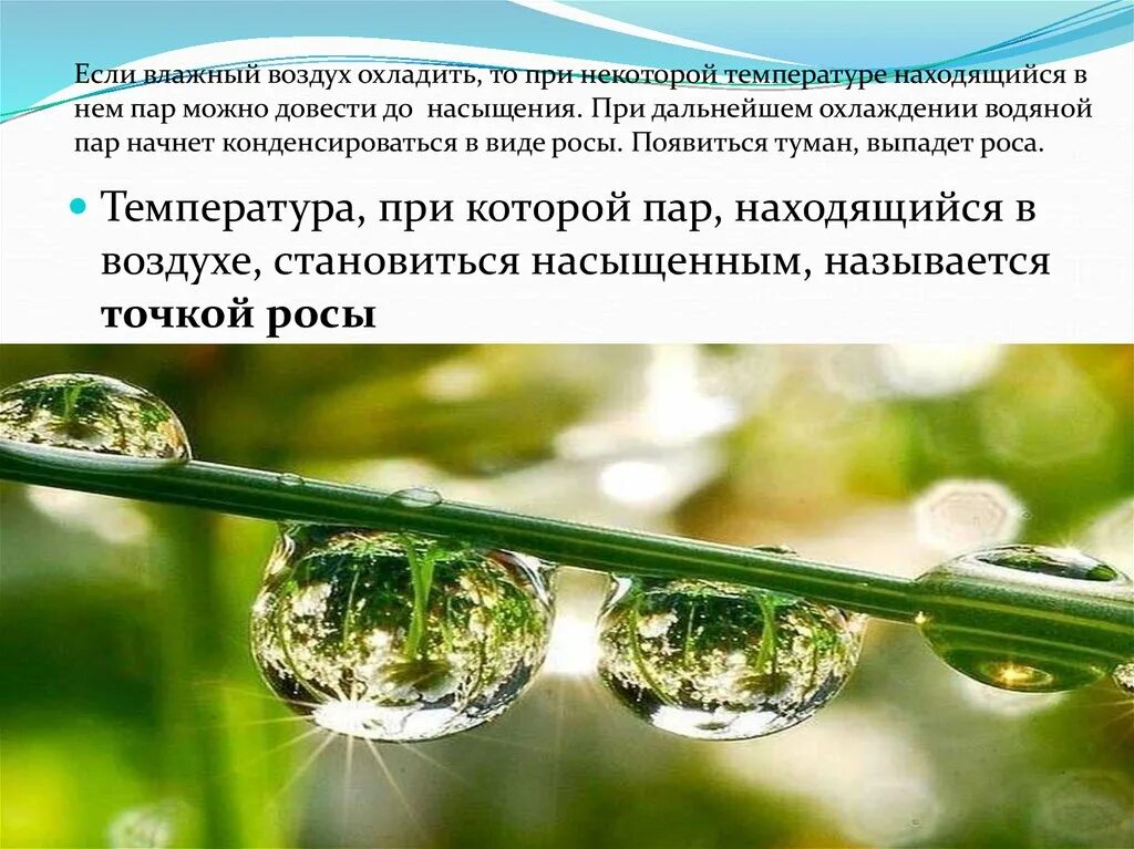 Мир влажности. Влажность воздуха презентация. Влажность воздуха в природе. Влажность воздуха картинки. Влажность воздуха в природе физика.