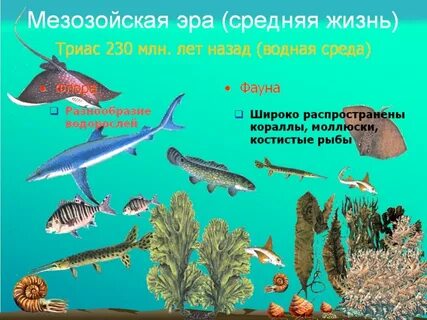 Средняя эра