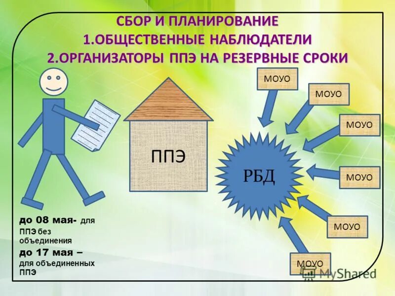 Организатор ппэ 2023