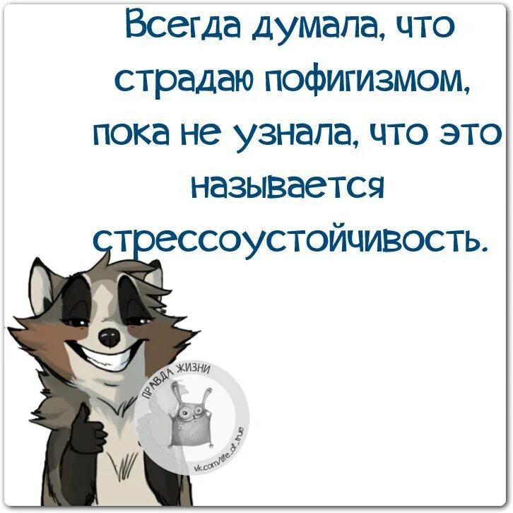 Написала что страдает. Смешные фразы про стресс. Смешные цитаты про пофигизм. Шутки про стрессоустойчивость. Цитаты про стрессоустойчивость.