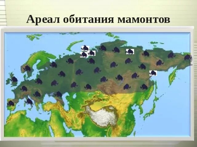 Карты ареалов обитания. Ареал обитания мамонтов карта. места обитания мамонтов. ареал мамонтов в россии. ареал обитания мамонтов в россии карта.