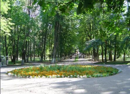 Щелковский парк