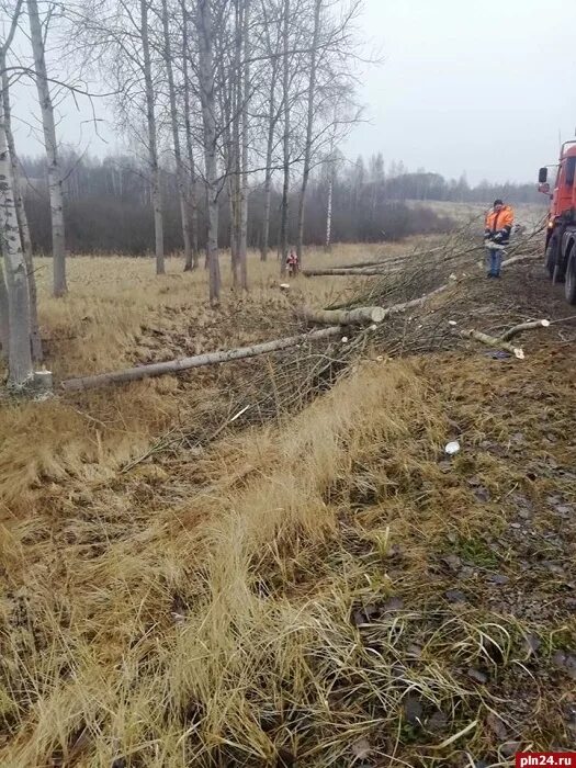 Расчистка полосы отвода