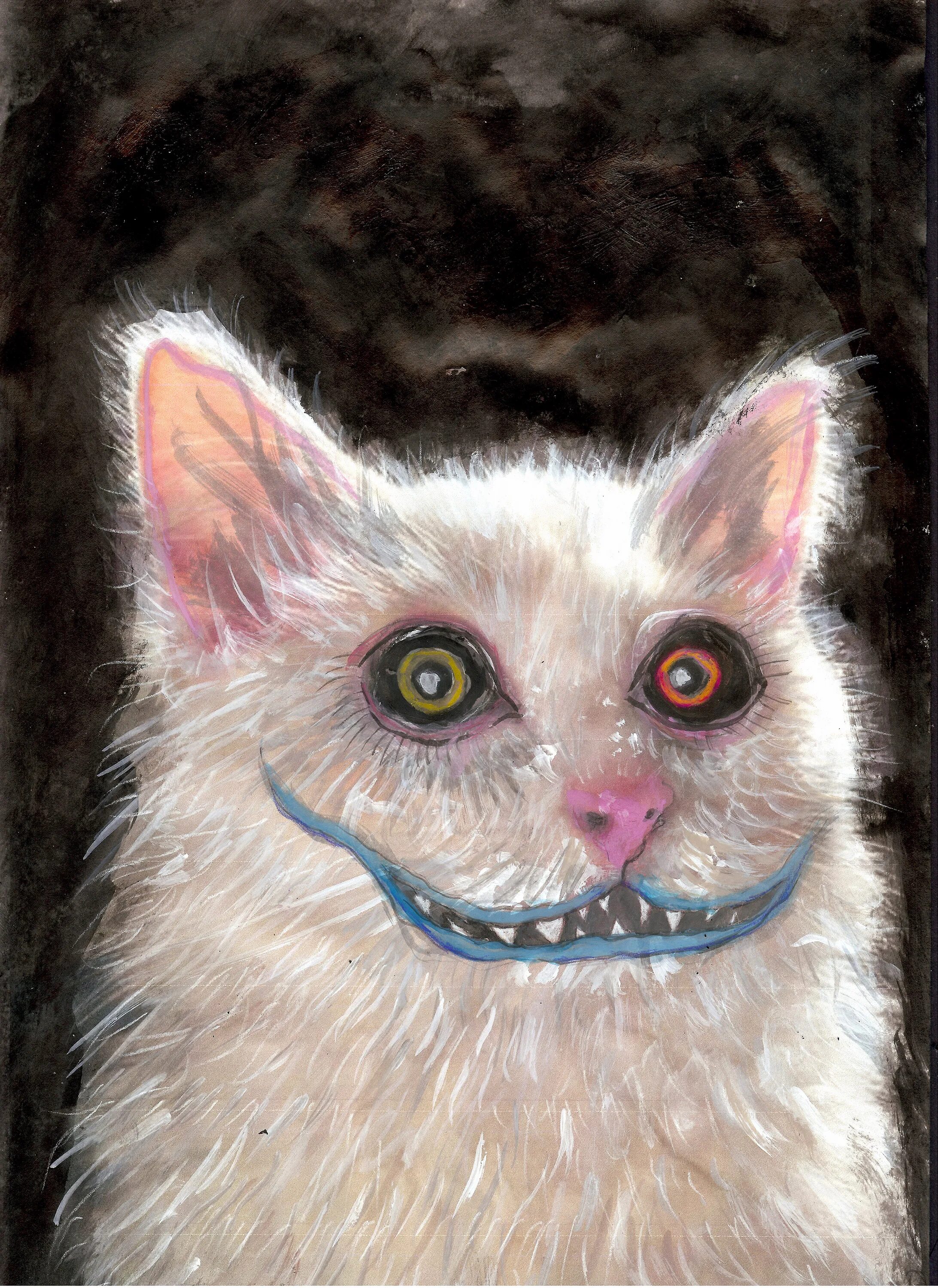 Сфинкс кошка морщинистая. Покажи страшного котика. Морщинистый канадский сфинкс. Покажи страшного котика. Покажи страшного котика.