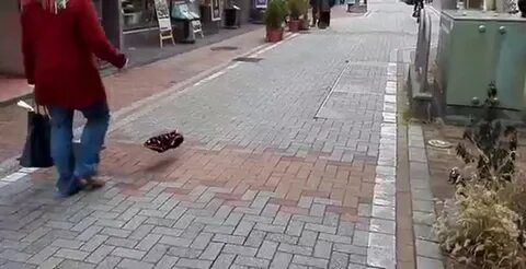 Невидимый идет