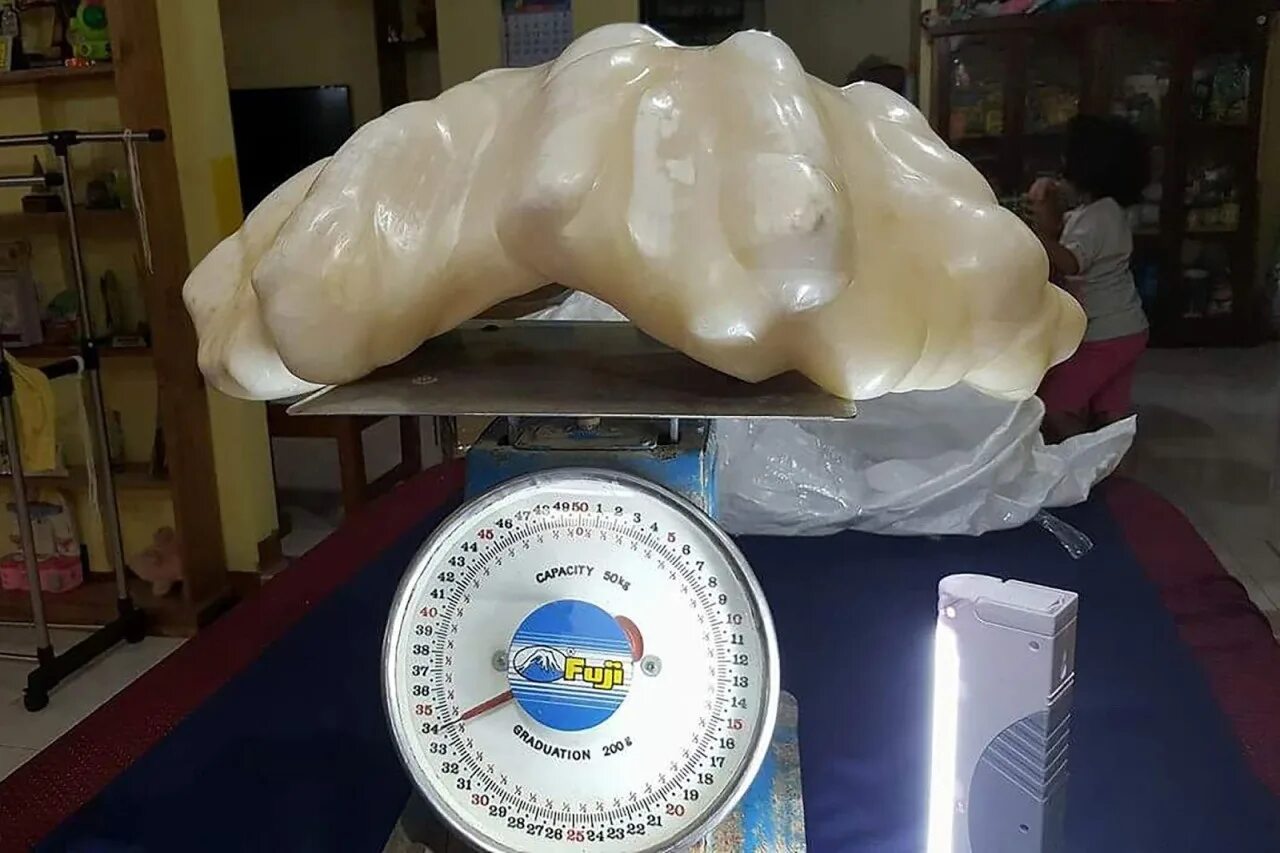 1 34 кг