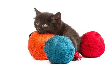 Котенок и клубок ниток рассказ