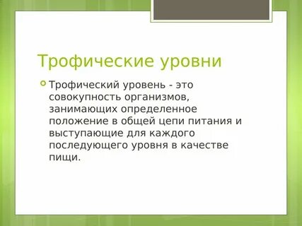 Втором трофическом уровне