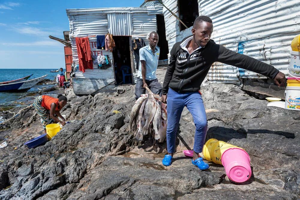 Остров мигинго на озере виктория. Остров мигинго кения. Остров миниго на озере виктория. Остров мигинго на озере виктория. Остров мигинго.