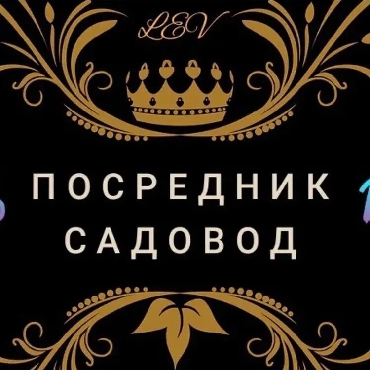 Посредник рынка садовод. Посредник рынок садовод 8%. Посредник садовод москва оптом. Посредник рынка садовод. Посредник садовод.