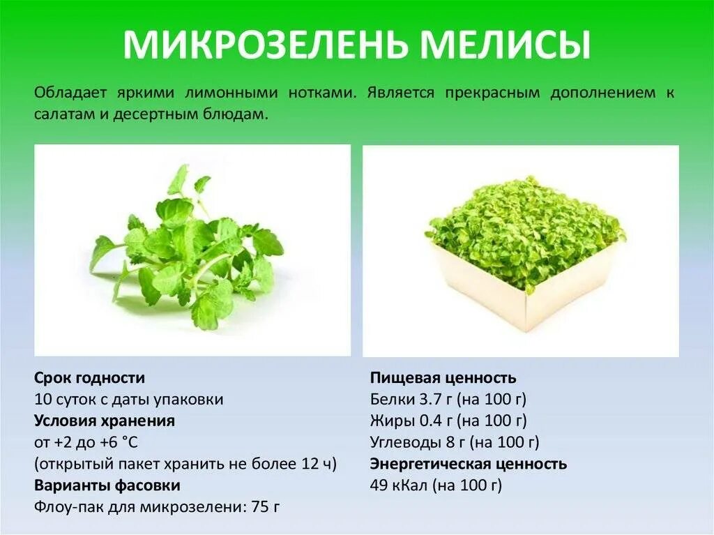 Таблица микрозелени. Микрозелень польза для человека. таблица посадки микрозелени. микрозелень состав.