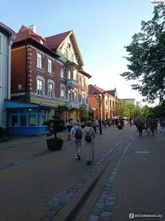 Зеленоградск отзывы