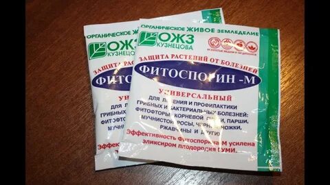 Как правильно фитоспорин