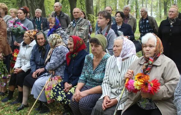 Погода в шаровичах. Шаровичи Брянская область. Село Шаровичи Рогнединский район Брянская область. Рогнединский район, деревня Шоховка. Деревня Шаровичи.