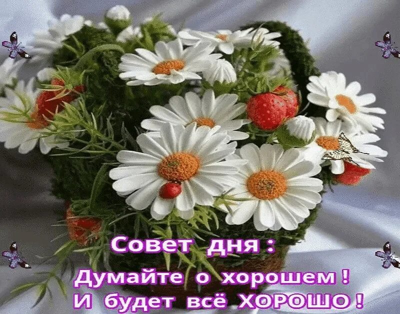 Доброе утро думай о хорошем. Думай о хорошем и будет хорошо. думай хорошо все будет хорошо. открытки совет дня. думайте о хорошем.