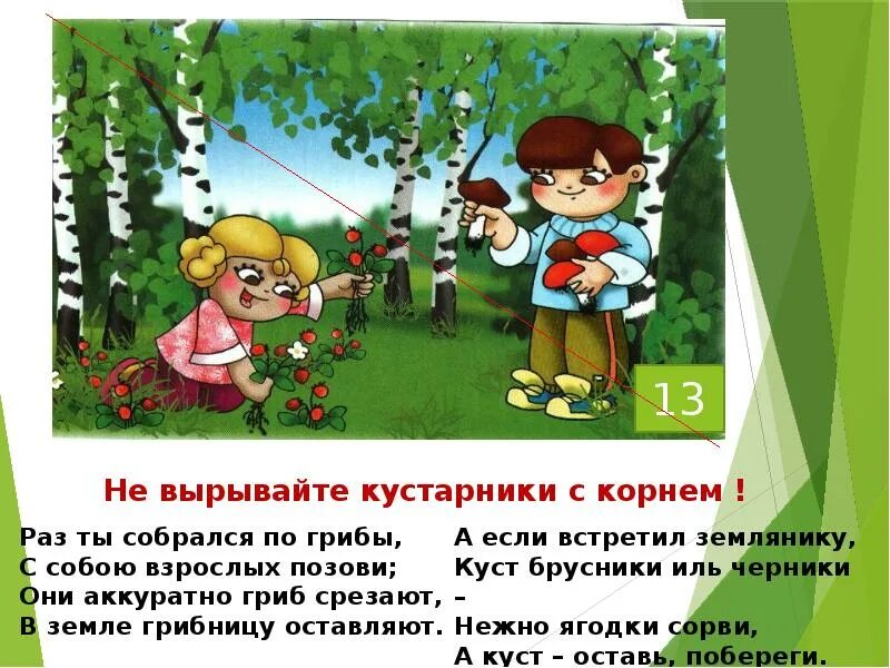 Рассказ как вести себя в лесу. Поведение в лесу для дошкольников. Правила поведения в лесу. Правила поведения на природе. ПРАВИЛАПОВЕДЕНИЕ В лесу.