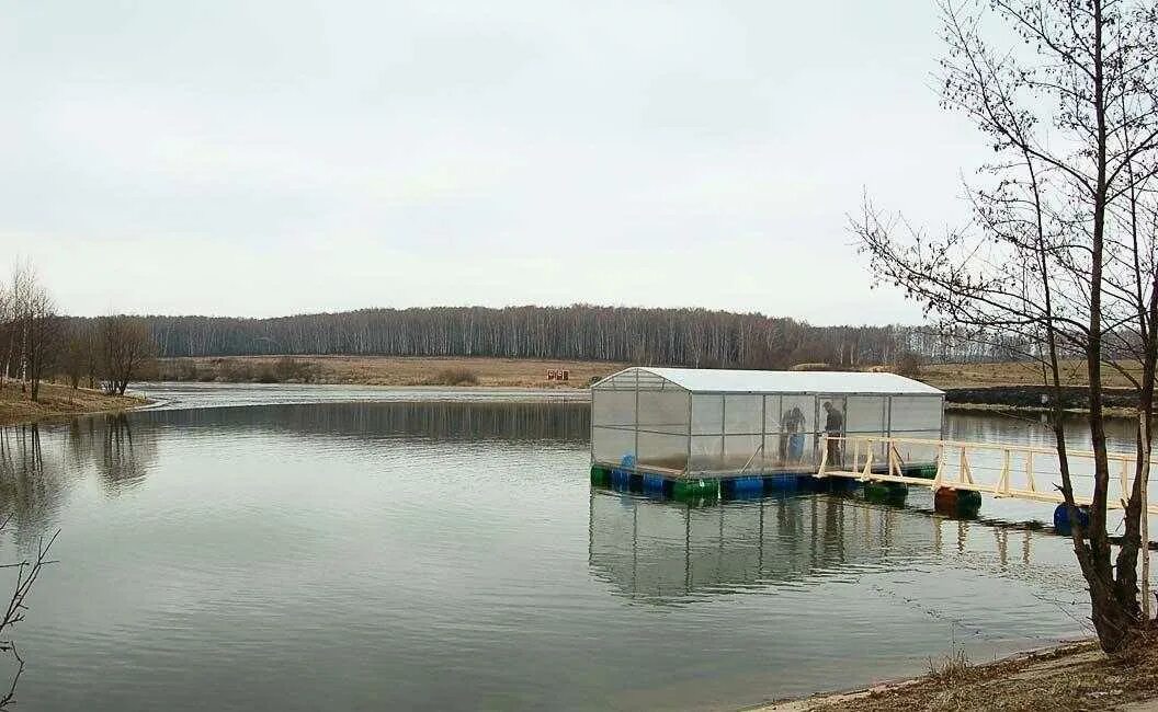 Рыболовный пруд Данилово фишка. Рыбалка в Данилово Домодедовский район фишка. КРХ Данилово. Рыбалка в Данилово Домодедовский район.