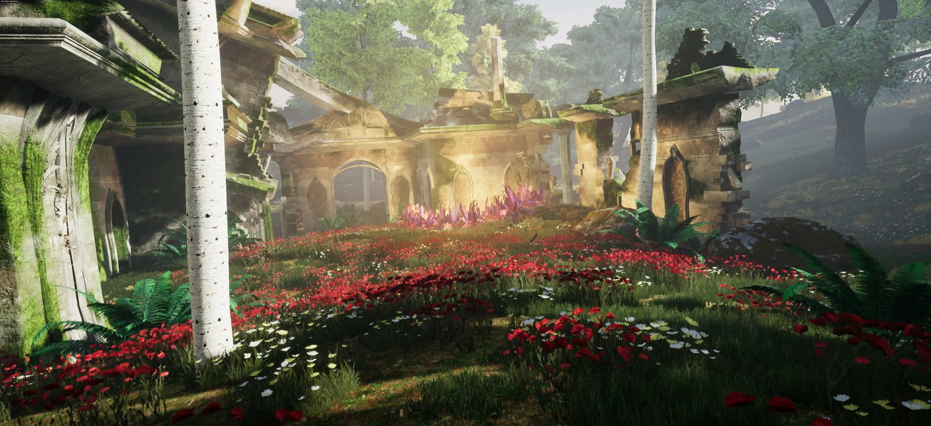 Ashes of creation дата выхода. Intrepid studios об ashes of creation. ashes of creation дата выхода в россии. ashes of creahes.