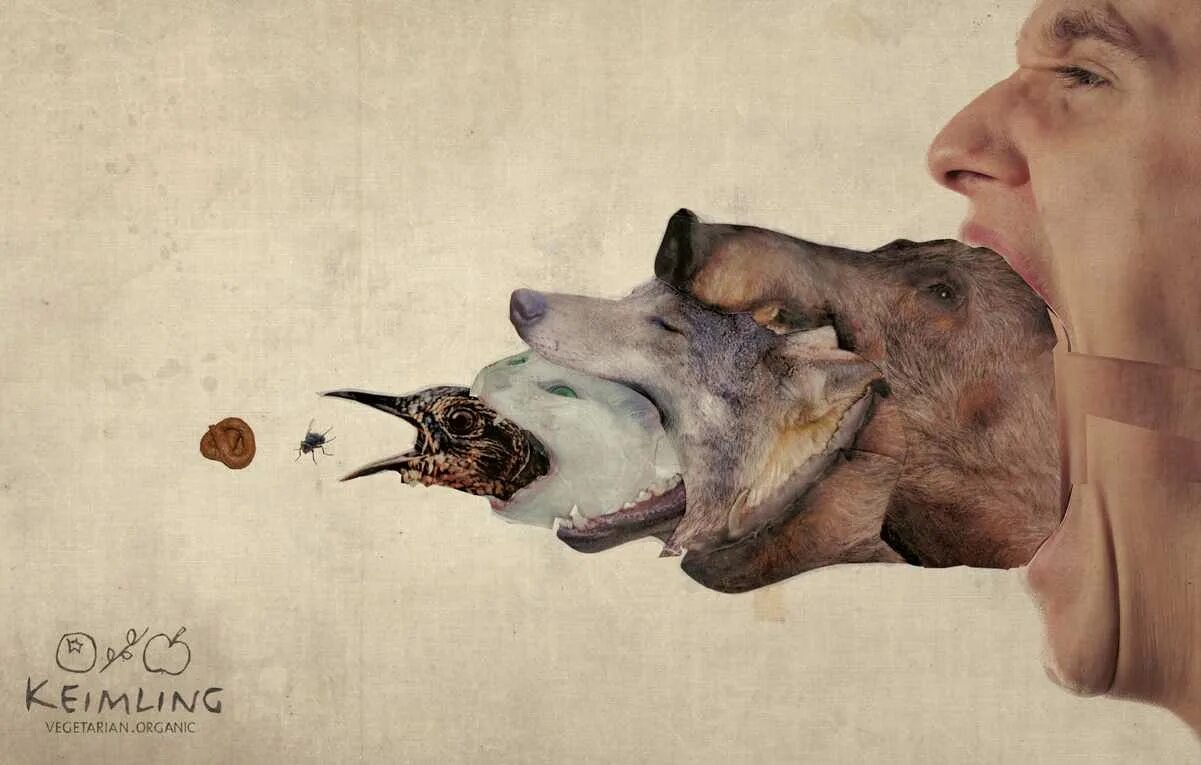 быть съеденным злым. самое агрессивное животное. шутки про морковку. прикольные демотиваторы. быть съеденным злым драконом манга 43 глава.