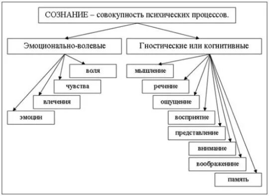 Составление структурно логической схемы структура сознания Элементы структуры сознания: найдено 90 изображений