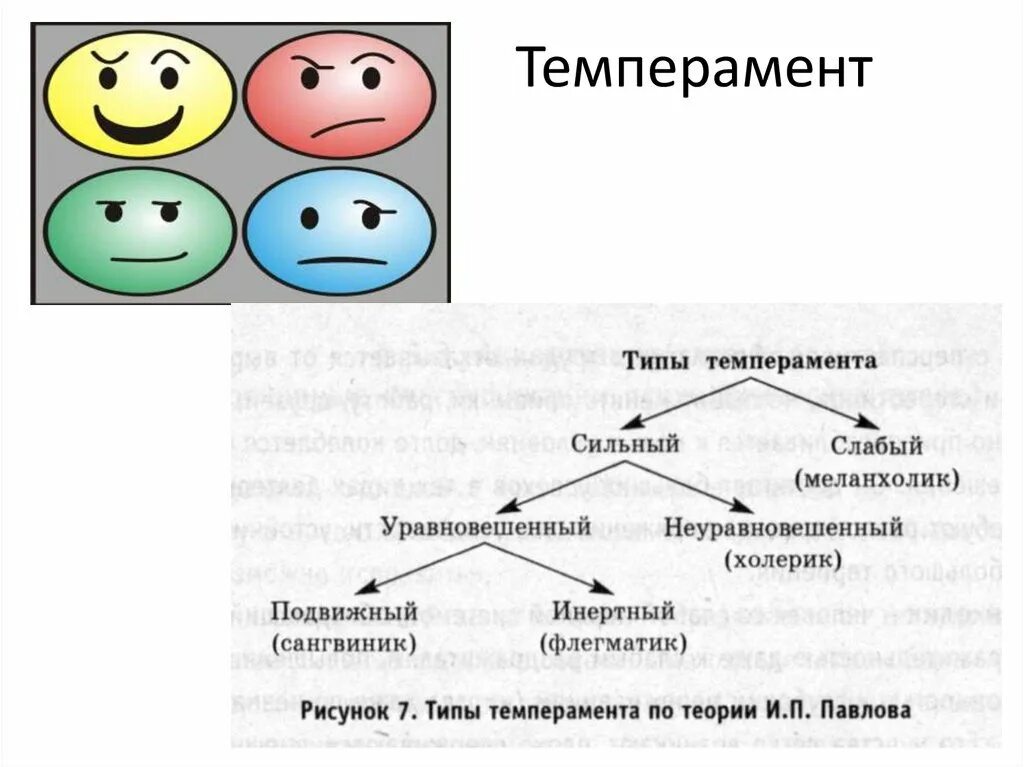 Темперамент относится к. Темперамент. типы темперамента. типы темперамента схема. темперамент и характер человека.