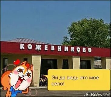 Лайф кожевниково вконтакте24