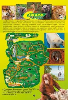 Сафари парк билеты