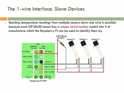 1 wire датчики