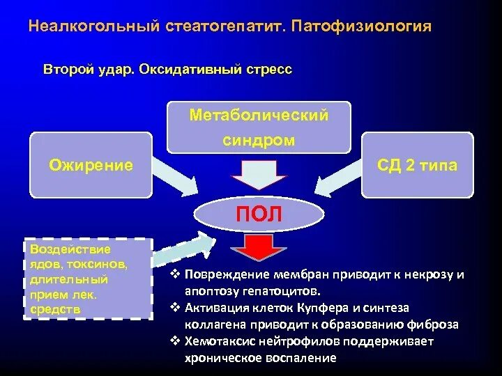 Окислительный стресс организма