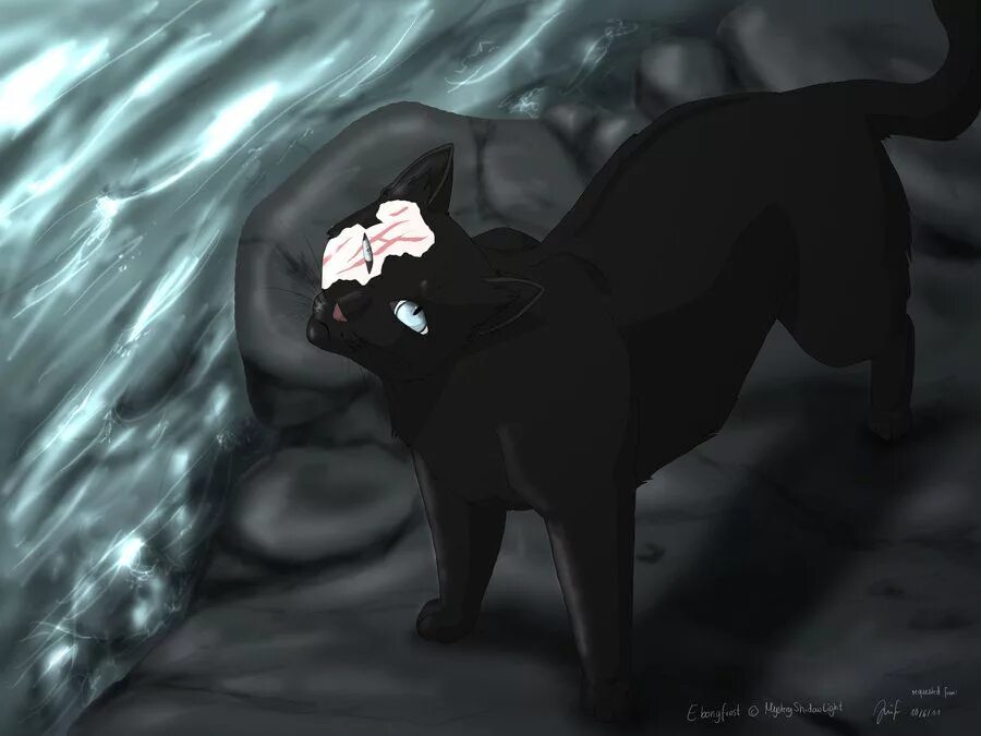 коты воители кленовница. коты воители бич и звездоцап. коты воители звездоцап. сумрачный воитель. коты сумрачного леса коты воители.