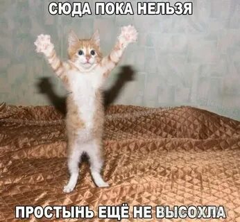 Ты же без меня пропадаешь зря